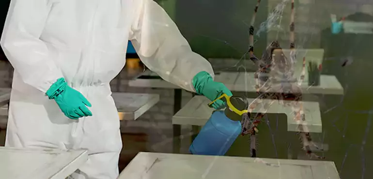 Why Buyers Still Want Homes With Pest Infestations in Hollywood, FL?
